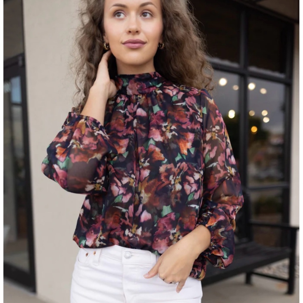 MISA Los Angeles Lulu Floral Chiffon Blouse Sz Small NWT